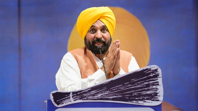 punjab cm bhagwant mann pti file photo