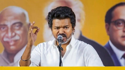 tamil nadu chief minister vijay file photo