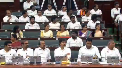 tn cm