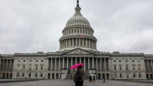 108278455 1773678841099 gettyimages 2266872486 090a8128 qfezmsqc