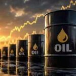 1790219135 oil