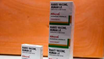 a government laboratory has flagged rabies vaccine vials discovered at an unauthorized site as substandard and misbranded reuters