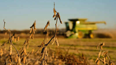 china cuts tariffs on us farm goods