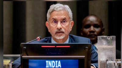 eam s jaishankar during p4m summit