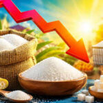imported sugar is yet to land so why is it getting cheaper