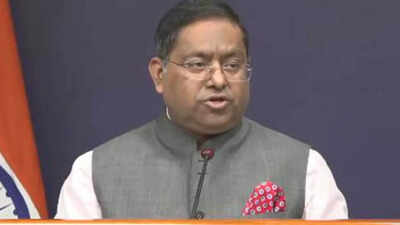mea spokesperson randhir jaiswal