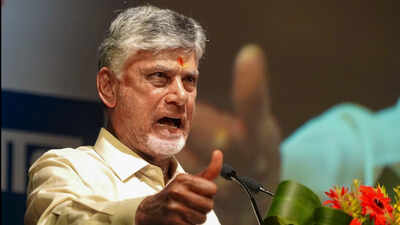 naidu backs ec says sir statement reaffirms institutional credibility