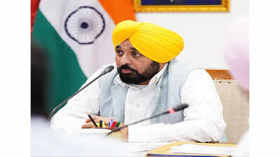 punjab govt constitutes 7 member coordination committee over sri guru granth sahib amendment act 2026