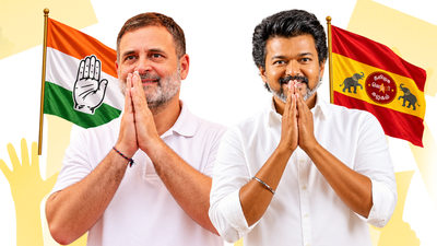 rahul vijay