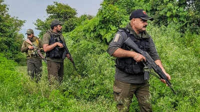 search operation in j k