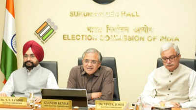 the election commission has issued just one statement since the report came out