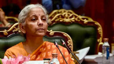 1791935425 finance minister nirmala sitharaman
