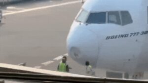 bird strike