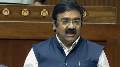 bjp rajya sabha mp ajeet gopchade speaks in rajya sabha file photoani