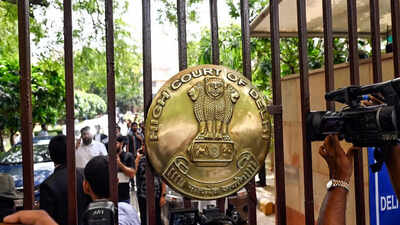 delhi hc