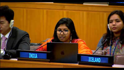 india at un