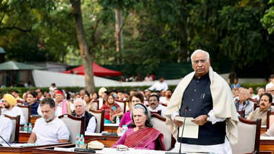 india bloc symbolically removes cec gyanesh kumar in the mock parliament orgainsed at kharges residence