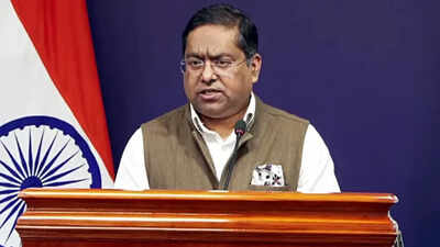 mea spokesperson randhir jaiswal
