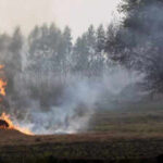 stubble burning