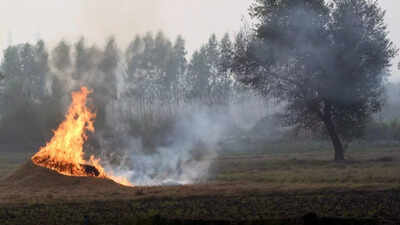 stubble burning
