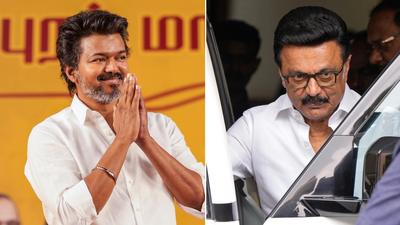 tamil nadu cm vijay and former cm stalin r