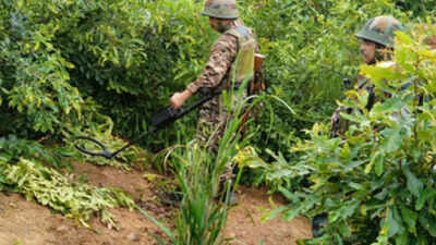 two more naga villagers shot dead in manipurs senapati